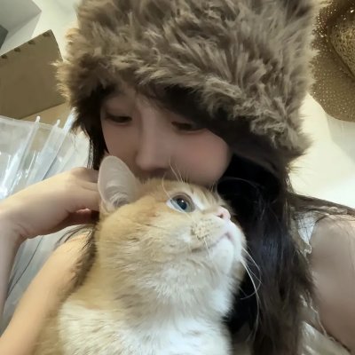 刺猬与城市